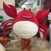 MAY MASCOT ZOZO 78