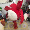MAY MASCOT ZOZO 79