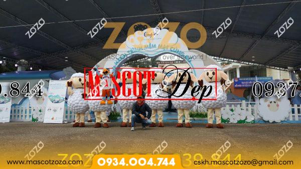 Mascot cừu Comfort - Ảnh 2