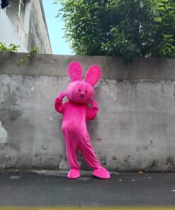 Alternative view of MASCOT CHÚ THỎ HỒNG