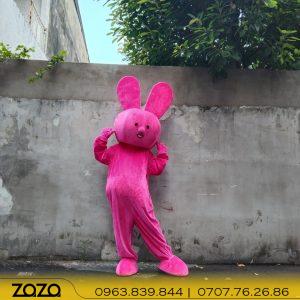 mascotthohong 1 1