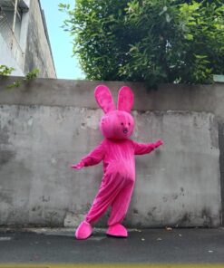 mascotthohong 2
