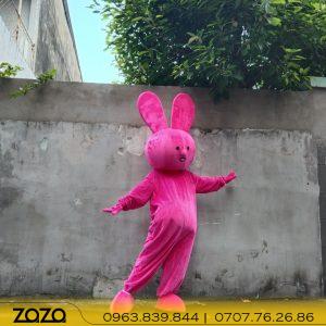 mascotthohong 2