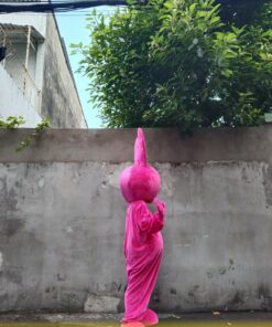 mascotthohong 3