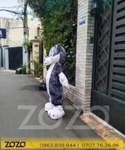 soi 2 1