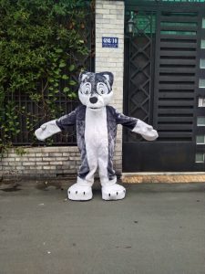 soi 5