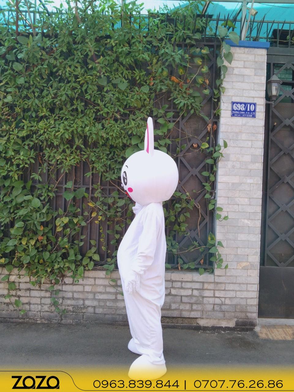 thỏ trắng (1) tho trang 1