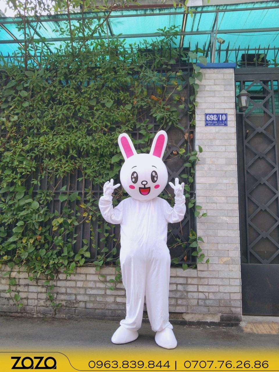 thỏ trắng (2) tho trang 2