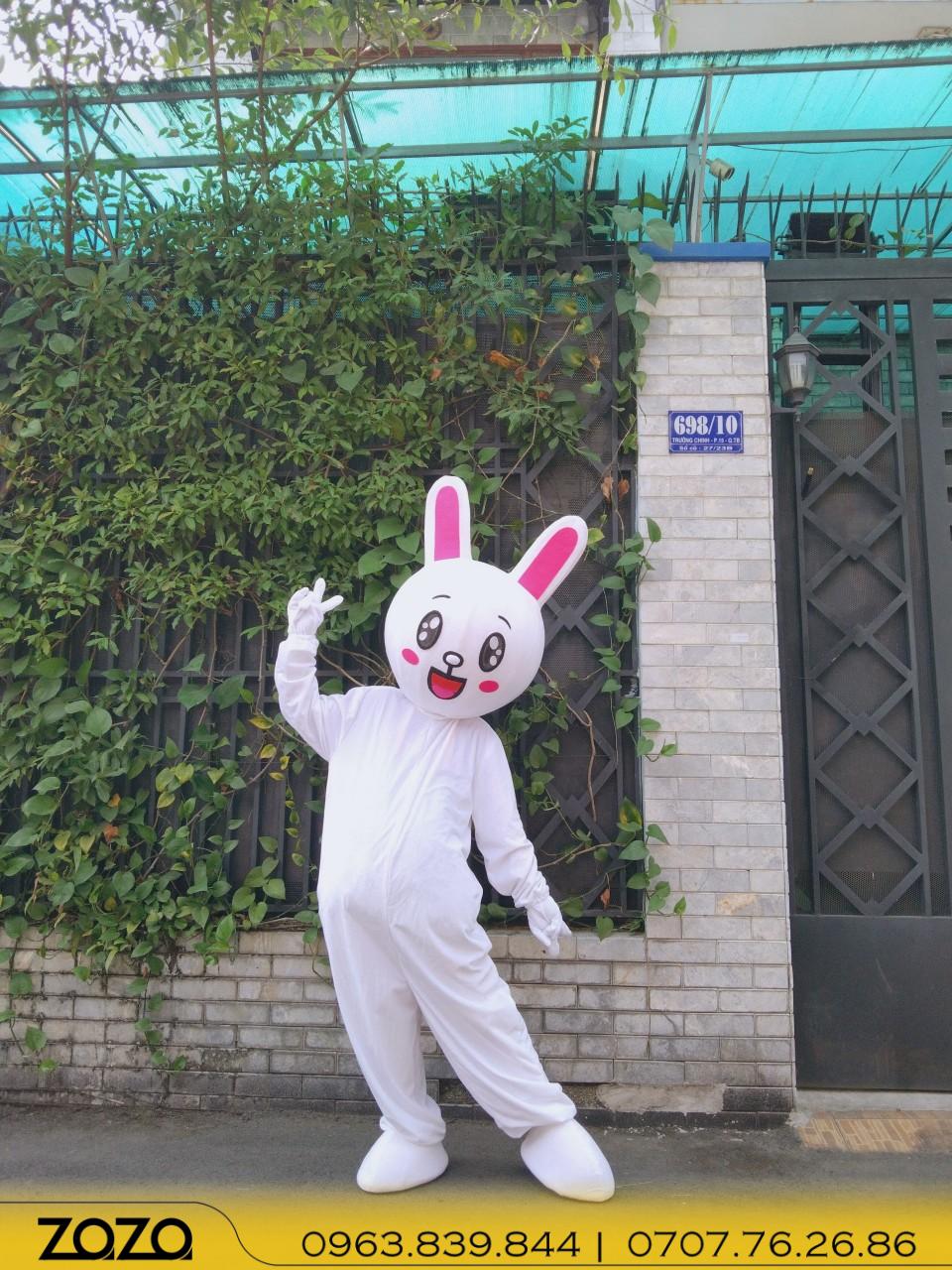 thỏ trắng (3) tho trang 3 1