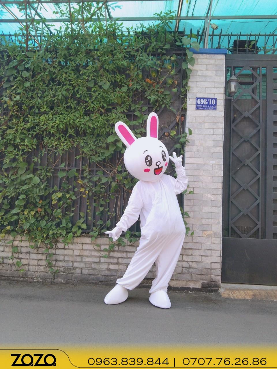 thỏ trắng (4) tho trang 4