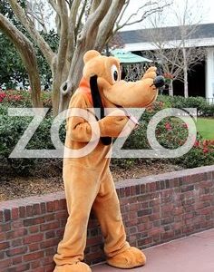 3d5656ece881abeddc99a03dd0208456