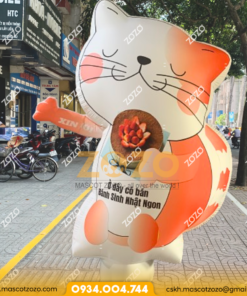 RỐI HƠI VẪY TAY MÈO CAM