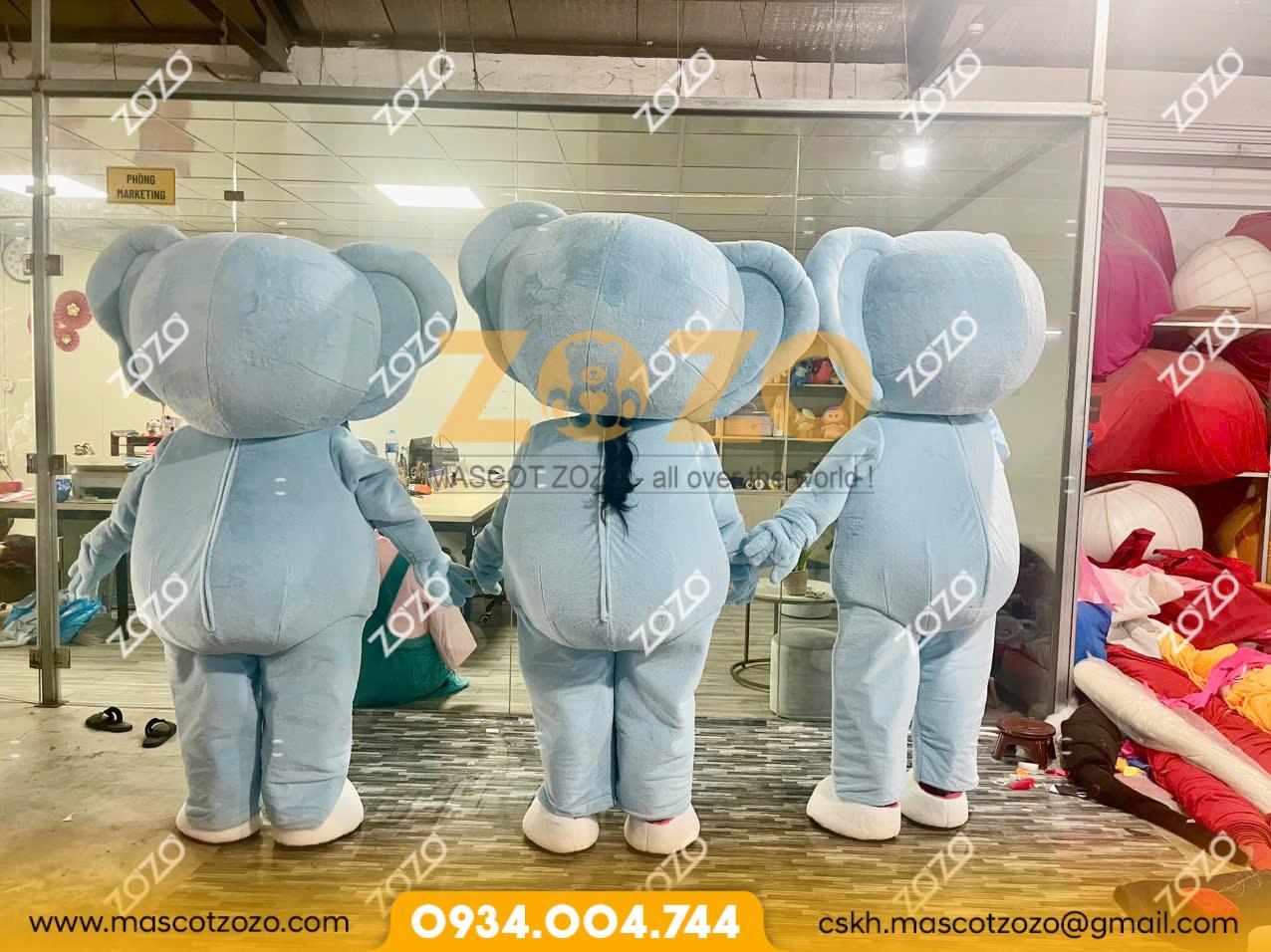 MASCOT 3 CHÚ GẤU KOALA - Ảnh 5